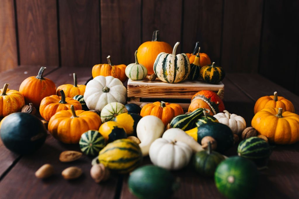 Demarest Farms, colorful pumpkins